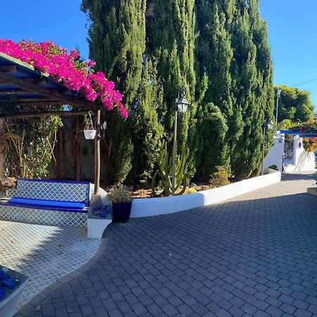 Finca Angelus Apartment Syrah With Amazing Views La Matanza De Acentejo Exteriör bild